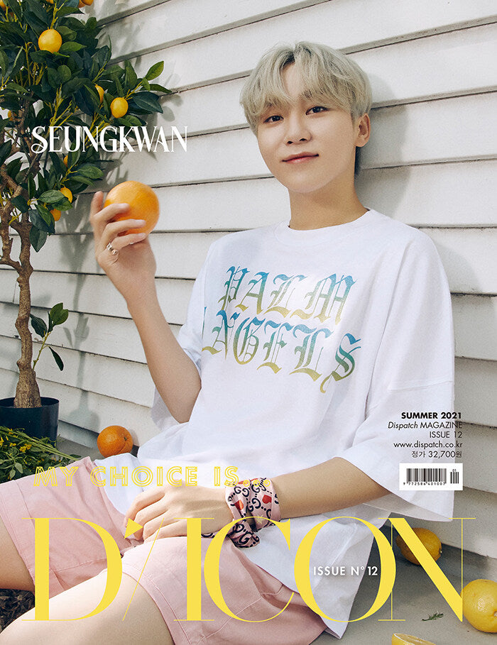 D-Icon Magazine VOL.12 - My Choice Is... Seventeen